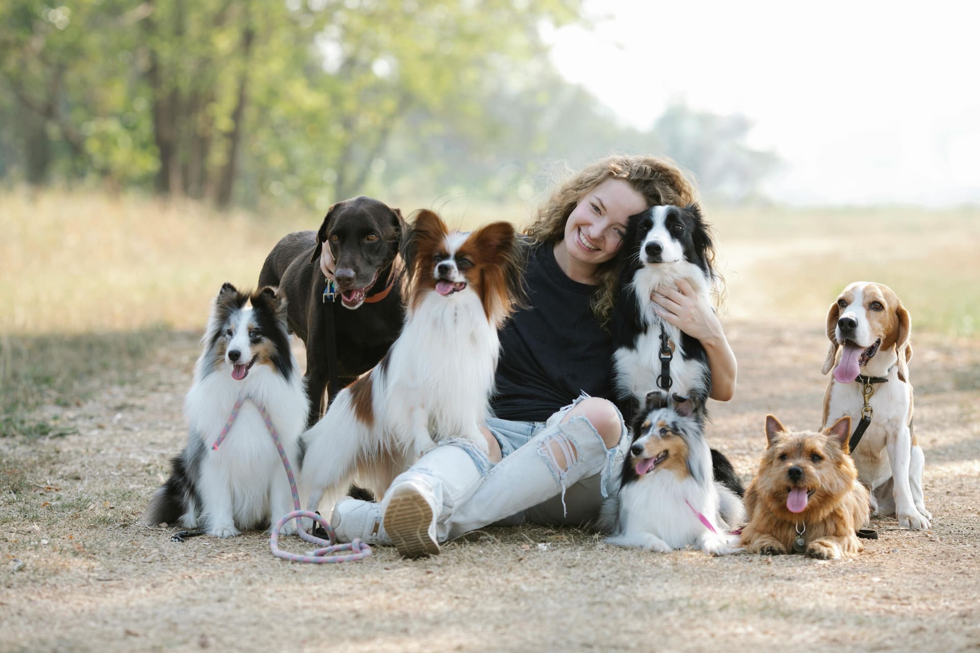 A friendly dog walker bonding with a happy dog